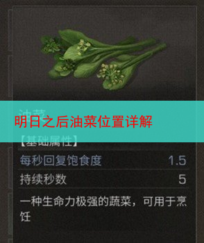 明日之后油菜位置详解